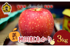 《 先行予約 》訳あり 鹿角りんご「秋田紅あかり」3kg（7～10玉前後）【佐藤秀果園】●2025年11月上旬発送開始 リンゴ 林檎 家庭用 訳あり みずみずしい 果汁 完熟 旬 県産りんご お中元 お歳暮 贈り物 お見舞い グルメ ギフト 故郷 秋田 あきた 鹿角市 鹿角 送料無料 