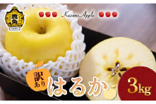 《 先行予約 》訳あり 鹿角りんご「はるか」3kg（7～10玉前後）【佐藤秀果園】●2025年12月上旬発送開始 リンゴ 林檎 家庭用 訳あり みずみずしい 果汁 完熟 旬 県産りんご お中元 お歳暮 贈り物 お見舞い グルメ ギフト 故郷 秋田 あきた 鹿角市 鹿角 送料無料 