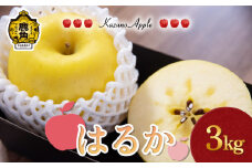 《 先行予約 》 鹿角りんご「はるか」3kg（7～10玉前後）【佐藤秀果園】●2025年12月上旬発送開始 リンゴ 林檎 贈答用 果汁 完熟 旬 県産りんご お中元 お歳暮 贈り物 お見舞い グルメ ギフト 故郷 秋田 あきた 鹿角市 鹿角 送料無料