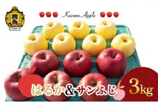 《 先行予約 》 鹿角りんご「はるか＆サンふじ」3kg（7～10玉前後）【佐藤秀果園】●2025年12月上旬発送開始 リンゴ 林檎 贈答用 果汁 完熟 旬 県産りんご お中元 お歳暮 贈り物 お見舞い グルメ ギフト 故郷 秋田 あきた 鹿角市 鹿角 送料無料 