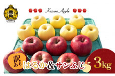 《 先行予約 》訳あり 鹿角りんご「はるか＆サンふじ」3kg（7～10玉前後）【佐藤秀果園】●2025年12月上旬発送開始 リンゴ 林檎 家庭用 訳あり みずみずしい 果汁 完熟 旬 県産りんご お中元 お歳暮 贈り物 お見舞い グルメ ギフト 故郷 秋田 あきた 鹿角市 鹿角 送料無料 