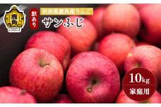 《先行予約》秋田県鹿角産りんご 雪国育ちの 訳あり「サンふじ」家庭用 10kg（28～46玉入）【山麓園】●2025年11月下旬発送開始 鹿角りんご 家庭用 食感 果汁 リンゴ 完熟 旬 県産 りんご お中元 お歳暮 贈り物 グルメ ギフト 故郷 秋田 あきた 鹿角市 鹿角 送料無料 