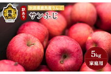 《先行予約》秋田県鹿角産りんご 雪国育ちの 訳あり「サンふじ」家庭用 5kg（14～23玉入）【山麓園】●2025年11月下旬発送開始 鹿角りんご 家庭用 食感 果汁 リンゴ 完熟 旬 県産 りんご お中元 お歳暮 贈り物 グルメ ギフト 故郷 秋田 あきた 鹿角市 鹿角 送料無料 