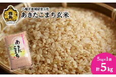 《先行予約》令和6年産 あきたこまち 玄米 5kg【八幡平地域経営公社】品質 安全 米 お米 こめ コメ 県産米 国産米 5KG 5キロ 5k 5K ５K ５k ５キロ 5 秋田県 あきた 鹿角市 鹿角 送料無料 
●2024年11月中旬発送開始
