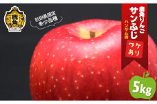 《 先行予約 》鹿角りんご 訳あり「秋田紅あかり」約 5kg ●2025年11月上旬発送開始【ハンサム侍】リンゴ 林檎 フルーツ グルメ ギフト 故郷 秋田 あきた 鹿角市 鹿角 送料無料 