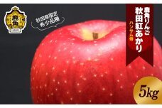 《 先行予約 》鹿角りんご 秀品「秋田紅あかり」約 5kg ●2025年11月上旬発送開始【ハンサム侍】リンゴ 林檎 フルーツ グルメ ギフト 故郷 秋田 あきた 鹿角市 鹿角 送料無料 