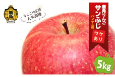 《 先行予約 》鹿角りんご 訳あり「サンふじ」約 5kg ●2026年1月中旬発送開始 【ハンサム侍】リンゴ 林檎 フルーツ グルメ ギフト 故郷 秋田 あきた 鹿角市 鹿角 送料無料 