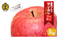 《 先行予約 》 鹿角りんご 訳あり「サンふじ」約 3kg ●2026年1月中旬発送開始【ハンサム侍】リンゴ 林檎 フルーツ グルメ ギフト 故郷 秋田 あきた 鹿角市 鹿角 送料無料