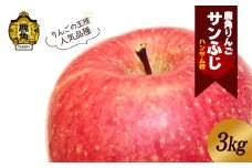 《 先行予約 》鹿角りんご 秀品「サンふじ」約 3kg ●2026年1月中旬発送開始【ハンサム侍】リンゴ 林檎 フルーツ グルメ ギフト 故郷 秋田 あきた 鹿角市 鹿角 送料無料 