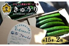 野菜ソムリエサミット 銀賞受賞 リバーサイド きゅうり 2箱 約30本入り【優作ファーム】●2025年6月上旬発送開始 秋田県鹿角産 新鮮 旬 安全 採れたて クール便 キュウリ 胡瓜 国産野菜 お中元 お歳暮 お取り寄せ グルメ ギフト 秋田 あきた 鹿角市 鹿角 送料無料 