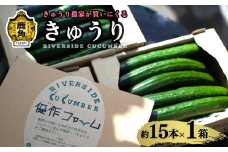 野菜ソムリエサミット 銀賞受賞 リバーサイド きゅうり 1箱 約15本入り【優作ファーム】●2025年6月上旬発送開始 秋田県鹿角産 新鮮 旬 安全 採れたて クール便 キュウリ 胡瓜 国産野菜 お中元 お歳暮 お取り寄せ グルメ ギフト 秋田 あきた 鹿角市 鹿角 送料無料 