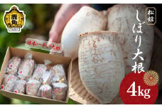 《先行予約》秋田県鹿角市八幡平産 松館しぼり大根 4kg（ 10～15個 ）【TR farm】 ●2025年11月上旬発送開始 薬味大根 GI 地理的表示登録 薬味 大根 ダイコン 野菜 地大根 伝統野菜 日本一 辛い 大根おろし ギフト お中元 お歳暮 ふるさと 返礼品 鹿角市 秋田 送料無料 