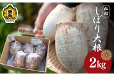 《先行予約》秋田県鹿角市八幡平産 松館しぼり大根 2kg（ 5～6個 ）【TR farm】 ●2025年11月上旬発送開始 薬味大根 GI 地理的表示登録 薬味 大根 ダイコン 野菜 地大根 伝統野菜 日本一 辛い 大根おろし ギフト お中元 お歳暮 ふるさと 返礼品 鹿角市 秋田 送料無料 