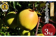 《 先行予約 》秋田県鹿角産りんご「ぐんま名月」秀品 約3kg ●2025年11月中旬発送開始 ぐんま 名月 数量限定 リンゴ 完熟 旬 県産りんご お中元 お歳暮 グルメ ギフト 故郷 秋田 あきた 鹿角市 鹿角 送料無料 【アグリTakko】