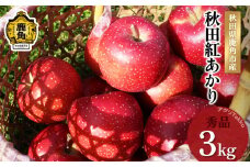 《先行予約》秋田県鹿角産りんご「秋田紅あかり」秀品 約3kg ●2025年11月上旬発送開始 秋田 紅あかり 数量限定 リンゴ 完熟 旬 県産りんご お中元 お歳暮 グルメ ギフト 故郷 秋田 あきた 鹿角市 鹿角 送料無料 【アグリTakko】