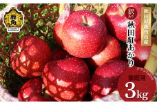 《先行予約》秋田県鹿角産りんご「秋田紅あかり」家庭用 約3kg ●2025年11月上旬発送開始 秋田 紅あかり 数量限定 リンゴ 完熟 旬 県産りんご お中元 お歳暮 グルメ ギフト 故郷 秋田 あきた 鹿角市 鹿角 送料無料 【アグリTakko】