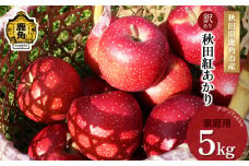 《先行予約》秋田県鹿角産りんご「秋田紅あかり」家庭用 約5kg ●2025年11月上旬発送開始 秋田 紅あかり 数量限定 リンゴ 完熟 旬 県産りんご お中元 お歳暮 グルメ ギフト 故郷 秋田 あきた 鹿角市 鹿角 送料無料 【アグリTakko】