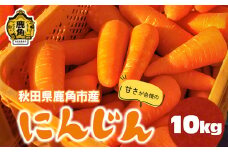 《先行予約》秋田県鹿角産「にんじん」10kg【鏡田ファーミング】●2026年3月発送開始 人参 甘い 秋田県 鹿角市 国産 野菜 高糖度 ニンジン グルメ ギフト 故郷 秋田 あきた 鹿角市 鹿角 送料無料 