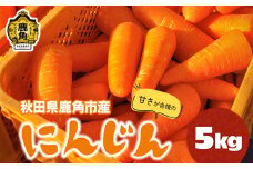 《先行予約》秋田県鹿角産「にんじん」5kg【鏡田ファーミング】●2026年3月発送開始 人参 甘い 秋田県 鹿角市 国産 野菜 高糖度 ニンジン グルメ ギフト 故郷 秋田 あきた 鹿角市 鹿角 送料無料 