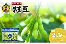 《 先行予約 》秋田県鹿角市産 枝豆 2.5kg（250g×10袋）【トライズ】 ●2025年9月上旬発送開始  秋田県特別栽培農法 採れたて えだまめ 小分け えだ豆 産地直送 農家直送 旬 新鮮 甘い 県産 国産 秋田県 あきた 鹿角市 鹿角 送料無料 