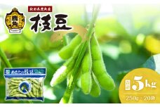 秋田県鹿角市産 枝豆 5kg（250g×20袋）【トライズ】 ●2025年9月上旬発送開始 秋田県特別栽培農法 採れたて えだまめ 小分け えだ豆 産地直送 農家直送 旬 新鮮 甘い 県産 国産 秋田県 あきた 鹿角市 鹿角 送料無料 