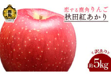 《 先行予約 》令和7年産 秋田県鹿角産りんご 訳あり「秋田紅あかり」家庭用 約5kg ●2026年1月発送開始【恋する鹿角カンパニー】かづのりんご 食感 果汁 さっぱり リンゴ 完熟 旬 りんご 林檎 お中元 お歳暮 贈り物 お見舞い グルメ ギフト 故郷 秋田 あきた 鹿角市 鹿角 紅あかり 送料無料 
