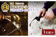 史跡尾去沢鉱山 観光坑道見学 ＋ 天然石掘り体験チケット 1名様分 【ゴールデン佐渡】秋田県鹿角市 尾去沢 鉱山 史跡 観光 体験 天然石 チケット 坑道 見学 ギフト 故郷 秋田 あきた 鹿角市 鹿角 送料無料