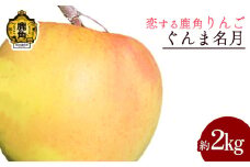 《 先行予約 》令和7年産 秋田県鹿角産りんご「ぐんま名月」約 2kg【恋する鹿角カンパニー】●2025年11月中旬発送開始 かづのりんご 食感 果汁 さっぱり リンゴ 完熟 旬 県産りんご お中元 お歳暮 贈り物 お見舞い グルメ ギフト 故郷 秋田 あきた 鹿角市 鹿角 送料無料 