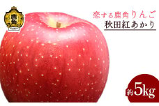 《 先行予約 》令和7年産 秋田県鹿角産りんご「秋田紅あかり」 約 5kg【恋する鹿角カンパニー】●2025年11月中旬発送開始 かづのりんご 食感 果汁 さっぱり リンゴ 完熟 旬 りんご 林檎 お中元 お歳暮 贈り物 お見舞い グルメ ギフト 故郷 秋田 あきた 鹿角市 鹿角 紅あかり 送料無料 