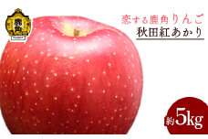 《 先行予約 》令和7年産 秋田県鹿角産りんご「秋田紅あかり」 約 5kg【恋する鹿角カンパニー】●2025年11月中旬発送開始 かづのりんご 食感 果汁 さっぱり リンゴ 完熟 旬 りんご 林檎 お中元 お歳暮 贈り物 お見舞い グルメ ギフト 故郷 秋田 あきた 鹿角市 鹿角 紅あかり 送料無料 