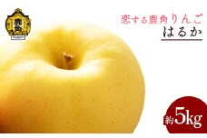《 先行予約 》令和7年産 秋田県鹿角産りんご「はるか」約 5kg【恋する鹿角カンパニー】●2025年12月上旬発送開始 かづのりんご 食感 果汁 さっぱり リンゴ 完熟 旬 県産りんご お中元 お歳暮 贈り物 グルメ 秋田 あきた 鹿角市 鹿角 秀 甘い 蜜 送料無料 