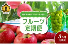 《先行予約》秋田県鹿角市 フルーツ定期便 3ヶ月（川中島白桃／シャインマスカット／秋田紅あかり）【恋する鹿角カンパニー】●2025年9月上旬発送開始  食感 果汁 果物 フルーツ 新鮮 産地直送 旬 県産 ギフト 故郷 秋田 あきた 鹿角市 鹿角 送料無料