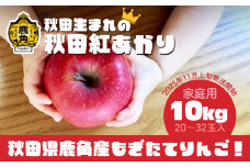 《 先行予約 》訳あり 秋田県鹿角産りんご 家庭用 「 秋田紅あかり 」 約10kg（20～32玉入）●2025年11月上旬発送開始 【ケーケー農園】鹿角りんご かづのりんご 食感 果汁 さっぱり リンゴ 完熟 旬 県産りんご 林檎 贈り物 お見舞い グルメ ギフト 故郷 秋田 あきた 鹿角市 鹿角 送料無料 