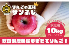 《 先行予約 》訳あり 秋田県鹿角産 りんご 家庭用 サンふじ 約 10kg（24～36玉入）●2025年11月上旬発送開始【ケーケー農園】 かづのりんご 食感 果汁 さっぱり リンゴ 完熟 旬 県産りんご 林檎 お中元 お歳暮 贈り物 お見舞い グルメ ギフト 故郷 秋田 あきた 鹿角市 鹿角 送料無料 