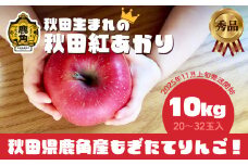《 先行予約 》秋田県鹿角産りんご 秀品「秋田紅あかり」約10kg（20～32玉入）●2025年11月上旬発送開始 【ケーケー農園】かづのりんご 食感 果汁 さっぱり リンゴ 完熟 旬 県産りんご 林檎 お中元 お歳暮 贈り物 お見舞い グルメ ギフト 故郷 秋田 あきた 鹿角市 鹿角 送料無料