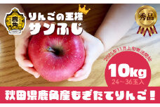 《 先行予約 》 秋田県鹿角産 りんご 秀品 サンふじ 約 10kg（24～36玉入） ●2025年11月上旬発送開始 【ケーケー農園】かづのりんご 食感 果汁 さっぱり リンゴ 完熟 旬 県産りんご 林檎 お中元 お歳暮 贈り物 お見舞い グルメ ギフト 故郷 秋田 あきた 鹿角市 鹿角 送料無料 