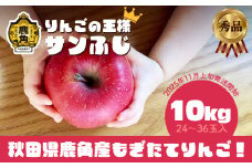 《 先行予約 》 秋田県鹿角産 りんご 秀品 サンふじ 約 10kg（24～36玉入） ●2025年11月上旬発送開始 【ケーケー農園】かづのりんご 食感 果汁 さっぱり リンゴ 完熟 旬 県産りんご 林檎 お中元 お歳暮 贈り物 お見舞い グルメ ギフト 故郷 秋田 あきた 鹿角市 鹿角 送料無料 