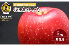 《 先行予約 》秋田県鹿角産りんご 雪国育ちの 贈答用「秋田紅あかり」5kg（13～18玉入）【山麓園】●2025年11月上旬発送開始 鹿角りんご 食感 果汁 リンゴ 完熟 旬 県産 りんご お中元 お歳暮 贈り物 グルメ ギフト 故郷 秋田 あきた 鹿角市 鹿角 送料無料 【山麓園】