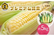 秋田県鹿角産 朝採り プレミアム味来 約5kg（11～13本）【さとう農園】●2025年7月下旬発送開始 朝採り 甘い 秋田県 鹿角産 新鮮 野菜 安全 トウモロコシ スイートコーン 中元 お歳暮 母の日 父の日 グルメ ギフト 故郷 秋田 あきた 鹿角市 鹿角 送料無料 