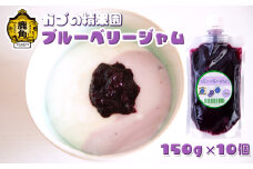 無添加 低糖 ブルーベリージャム 150g × 10個セット【かづの精果園】 ブルーベリー 砂糖不使用 無添加 低糖 ジャム 安心 安全 自然派 ギフト 秋田県 秋田 あきた 鹿角市 鹿角 かづの 小分け パウチ 