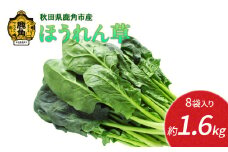 《先行予約》秋田県鹿角産 ほうれん草 約1.6kg（8袋入）●2025年12月上旬発送開始【恋する鹿角カンパニー】 新鮮 旬 緑黄色野菜 ホウレンソウ 炒め物 おひたし 安全 甘い 採れたて 国産野菜 お取り寄せ グルメ ギフト お中元 お歳暮 秋田 あきた 鹿角市 鹿角 秋田県 鹿角産 送料無料