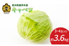 《 先行予約 》 秋田県鹿角産 キャベツ 約3.6kg（3～4玉入）●2025年12月上旬発送開始【恋する鹿角カンパニー】新鮮 旬 産地直送 安全 甘い 採れたて 国産野菜 お取り寄せ グルメ ギフト お中元 お歳暮 秋田 あきた 鹿角市 鹿角 秋田県 鹿角産 送料無料
