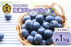 R７年産 冷凍 ブルーベリー 約 1kg サイズMIX 【恋する鹿角カンパニー】ブルーベリー 大玉 小玉 中玉 旬 県産ブルーベリー 栄養 レシピ 国産ブルーベリー お中元 お歳暮 お取り寄せ 母の日 父の日 グルメ ギフト 故郷 秋田 あきた 鹿角市 鹿角 送料無料