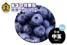《先行予約》ブルーベリー（冷凍）特選 中玉 1kg 単品【かづの精果園】●2025年10月上旬発送 冷凍 栄養 効果 アントシアニン サプリ 藍苺 ベリー レシピ ジャム スムージー アサイー アイス ヨーグルト 自然 秋田県 秋田 あきた 鹿角市 鹿角 かづの