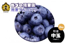 《先行予約》ブルーベリー（冷凍）特選 中玉 2kg 単品【かづの精果園】●2025年12月上旬発送 冷凍 栄養 効果 アントシアニン サプリ 藍苺 ベリー レシピ ジャム スムージー アサイー アイス ヨーグルト 自然 秋田県 秋田 あきた 鹿角市 鹿角 かづの