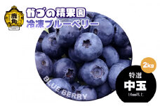 《先行予約》ブルーベリー（冷凍）特選 中玉 2kg 単品【かづの精果園】●2025年12月上旬発送 冷凍 栄養 効果 アントシアニン サプリ 藍苺 ベリー レシピ ジャム スムージー アサイー アイス ヨーグルト 自然 秋田県 秋田 あきた 鹿角市 鹿角 かづの