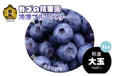《先行予約》ブルーベリー（冷凍）特選 大玉 1kg 単品【かづの精果園】●2025年12月上旬発送 冷凍 栄養 効果 アントシアニン サプリ 藍苺 ベリー レシピ ジャム スムージー アサイー アイス ヨーグルト 自然 秋田県 秋田 あきた 鹿角市 鹿角 かづの