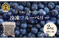 鹿角産 冷凍ブルーベリー2kg（500g×4袋）サイズMIX【とざわさん家のいちご】旬 県産 ブルーベリー 国産ブルーベリー 真空 真空パック 小分け お中元 お歳暮 お取り寄せ 母の日 父の日 グルメ ギフト 故郷 秋田 あきた 鹿角市 鹿角 送料無料