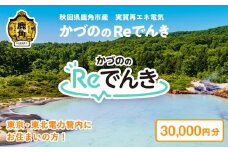 《地域限定》かづののReでんき 電気 30,000円分 秋田県 鹿角市産 電気 東京電力 / 東北電力 管内にお住まいの方限定 電力 料金 家計 東電 東北電 エコ 脱炭素 秋田 鹿角市 送料無料 【かづのパワー】