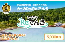 《地域限定》かづののReでんき 電気 5,000円分 秋田県 鹿角市産 電気 東京電力 / 東北電力 管内にお住まいの方限定 電力 料金 家計 東電 東北電 エコ 脱炭素 秋田 鹿角市 送料無料 【かづのパワー】